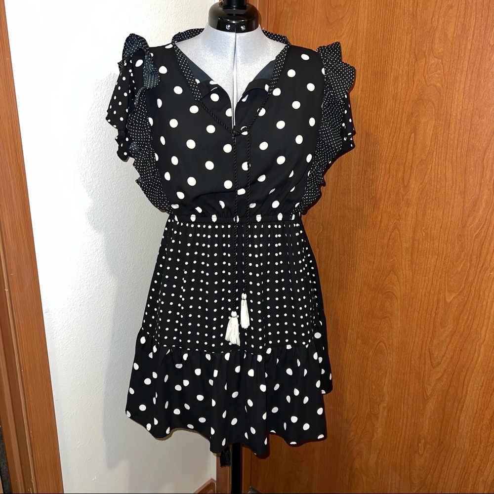 Zara Polka Dot Dress